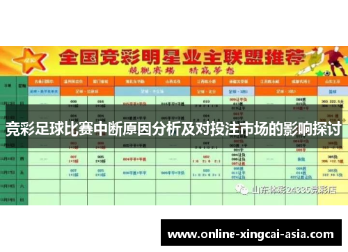 竞彩足球比赛中断原因分析及对投注市场的影响探讨