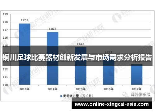 铜川足球比赛器材创新发展与市场需求分析报告